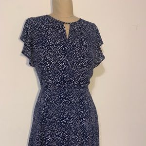 Banana Republic Navy Polka Dot Chiffon Dress Size 6